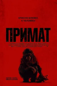 Ոрuʍаτ
